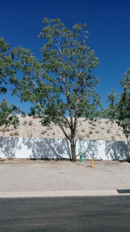 Rv Park - Riverside Resort Laughlin Exterior foto